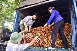 Bộ Nông nghiệp đề nghị 6 bộ chung tay mở đường tiêu thụ nông sản