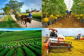 Lần đầu tiên tổ chức Giải báo chí toàn quốc viết về nông nghiệp, nông dân, nông thôn