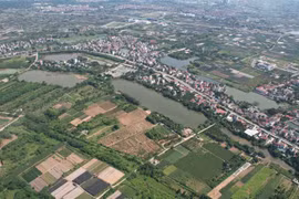 Dừng kiểm kê đất đai cấp tỉnh đến khi hoàn thành việc hợp nhất