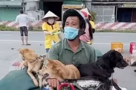 Vụ tiêu hủy 15 con chó ở Cà Mau: Cục Thú y nói gì?