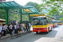 Buýt Hà Nội giảm một nửa lượng hành khách đi vé lượt
