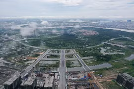 Kịp thời làm rõ sai phạm, xử lý nghiêm trường hợp đấu giá đất có biểu hiện bất thường