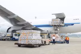 Hàng không IPP Air Cargo của “ông trùm” hàng hiệu Việt Nam chỉ có thể bay sau năm 2022?