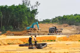 Đèo Cả khẳng định đất mở đường thi công cao tốc Bắc- Nam là rừng sản xuất!