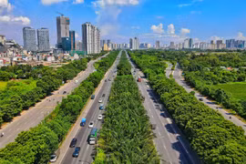 Di chuyển, chặt hạ hơn 2.600 cây xanh trên đại lộ Thăng Long phục vụ xây dựng nút giao thông