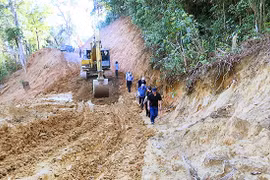 Quảng Nam muốn lấy rừng làm đường vào vùng sâm Ngọc Linh, Bộ Nông nghiệp nói phải cẩn trọng
