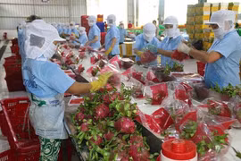Ngành nông nghiệp đặt mục tiêu thu về 44 tỷ USD nhờ xuất khẩu