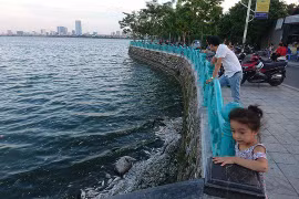 Quận Tây Hồ lên kế hoạch cải thiện nước, môi trường hồ Tây 