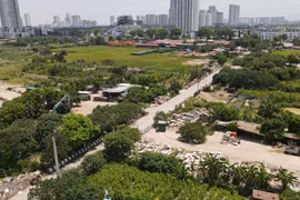Chủ tịch xã có thẩm quyền phạt đến 250 triệu đồng vi phạm về đất đai