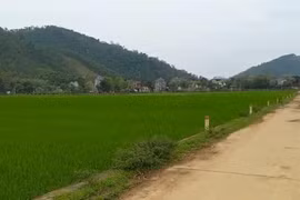 Bộ Tài nguyên “thúc” kiểm tra, xử lý các dự án “ôm” đất chậm triển khai