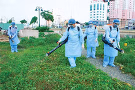 Ảnh minh họa