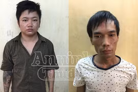 Cố tình che giấu nhưng vẫn không lọt lưới pháp luật