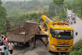 Ảnh minh họa