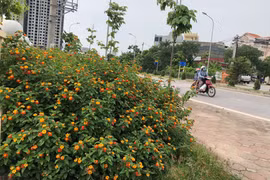 Nhân sự: Đủ tâm, đủ tầm tạo sự thống nhất, đồng thuận cao trong bộ máy