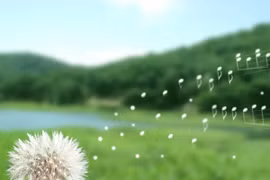 Không làm, ngồi mơ cả đời cũng chỉ là giấc mơ mà thôi.