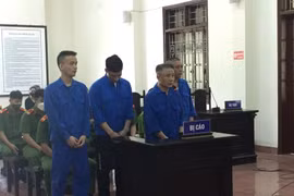 Cất giấu hơn 11 kg ma túy, nhóm đối tượng phạm tội bị kết án tử hình 