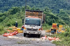 Phát hiện đối tượng mang hơn 3 tấn gà chết vứt ra đường