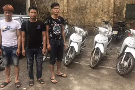 Khám phá nhanh ổ nhóm chuyên trộm cắp xe máy