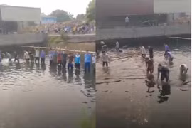Xử lý nghiêm vi phạm tập trung đông người “thi” bắt cá