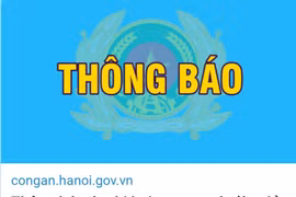 Khởi tố nữ Giám đốc Công ty TNHH cung ứng nhân lực Abey’s Madica tội lừa đảo