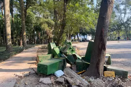 Những hình ảnh công viên Tuổi trẻ Thủ đô trước ngày có chủ trương cải tạo