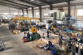 Cát Vạn Lợi - Doanh nghiệp Việt Nam tiên phong trong hội nhập thị trường toàn cầu