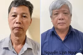 Vì sao ông Nguyễn Linh Ngọc, nguyên Thứ trưởng Bộ Tài nguyên và Môi trường bị bắt?
