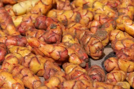 Trồng khoai tây trên sao Hỏa