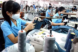 "Đội quân" doanh nghiệp nhỏ gia tăng
