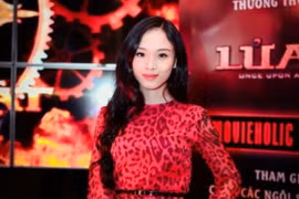 Hoa hậu Phương Nga lừa đảo đại gia chiếm đoạt hơn 16,5 tỉ đồng