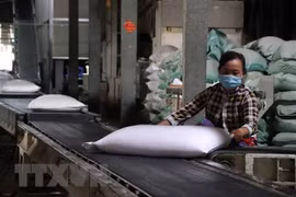 ‘Sự phục hồi của Việt Nam hậu COVID-19 rất đáng ngưỡng mộ’ 