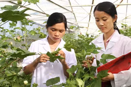 “Nhân tố mới thời đại Hồ Chí Minh”