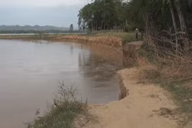 Sạt lở bờ sông Lam, hàng chục hộ dân kêu cứu