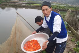 Đi tìm những bàn tay “nâng”…ông Táo chầu Trời