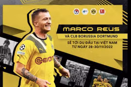 Lỡ hẹn World Cup, Marco Reus sang Việt Nam giao hữu