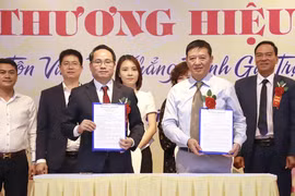 VNEA và VATAP ký hợp tác chống hàng giả, bảo vệ thương hiệu