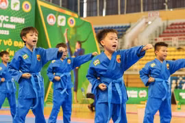 Gần 2.000 học sinh dự giải vovinam cúp Nestlé Milo