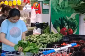 Rau xanh xuống giá chậm