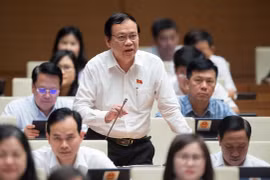 ĐBQH: Chủ tịch tỉnh không làm gì khiến doanh nghiệp, nhân dân gặp khó có thể bị xử lý nghiêm khắc