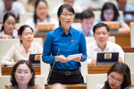 Việc rút bảo hiểm xã hội 1 lần làm nóng phiên chất vấn Bộ trưởng Bộ Lao động, Thương binh và xã hội