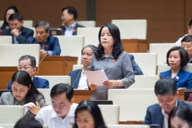 Đại biểu Quốc hội băn khoăn về xác định giá trị thiệt hại vụ Phan Văn Anh Vũ và đồng phạm 