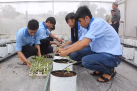 Bằng tốt nghiệp trung cấp chuyên cấp có thể thay thế bằng tốt nghiệp THPT