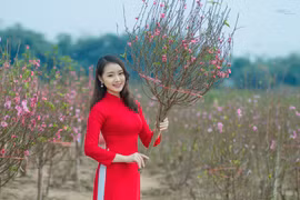 Hoa khôi 9x xứ Mường khoe sắc cùng đào Xuân
