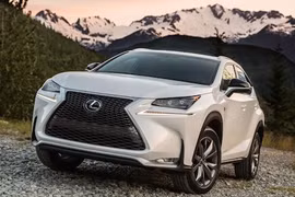 Lexus không sản xuất những mẫu SUV gắn mác F đặc biệt 