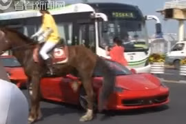 "Phi mã" Ferrari 458 Italia bị ngựa thật đá