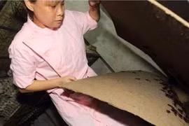 Người phụ nữ nuôi 100.000 con gián làm thuốc chữa bệnh