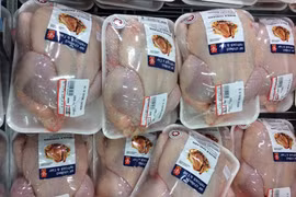 Sẽ làm rõ thông tin đùi gà Mỹ rẻ bất thường