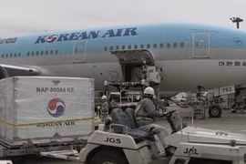 Korean Air muốn xâm nhập thị trường châu Âu 