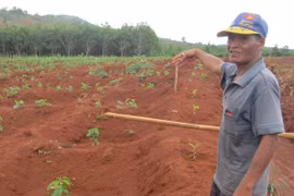 Sự thật về lời đồn bị thần linh trừng phạt khiến cả làng hoang mang