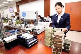 Cổ phiếu ngân hàng có "đáng đồng tiền"?